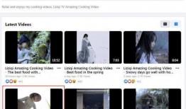 网友爆料越南视频下载,网友爆料揭秘热门下载攻略